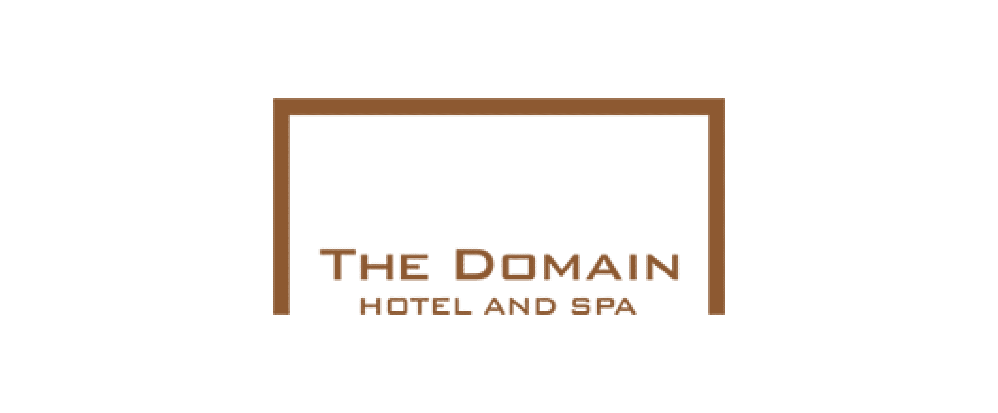 The Domain client logo client logo